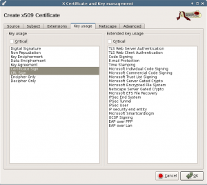 Create CA, Key usage.